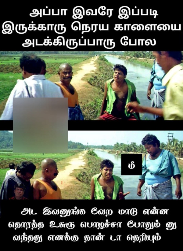 Pongal memes: Funny memes collection on jallikattu