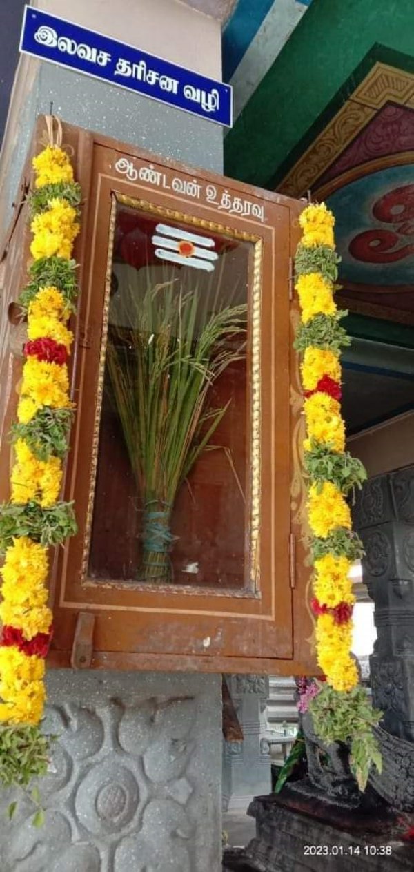 Rice bran in the Tirupur Sivanmalai Aandavar Utharavupetti 