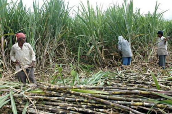 பணம் சென்றடையவில்லை பணம் சென்றடையவில்லை