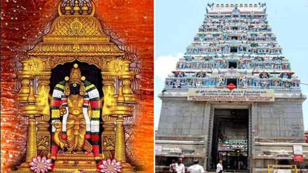 Sani peyarchi palan 2023: Sani transit from Makaram to Kumbam devotees visits temple and Parikaram 