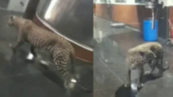 தெலுங்கானாவில் மருந்து தயாரிக்கும் தொழிற்சாலை தெலுங்கானாவில் மருந்து தயாரிக்கும் தொழிற்சாலை