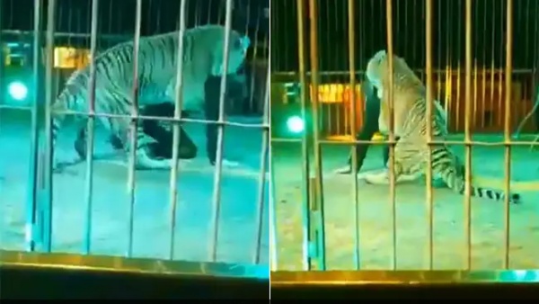 கவலைக்கிடமான நிலையில் சிகிச்சை