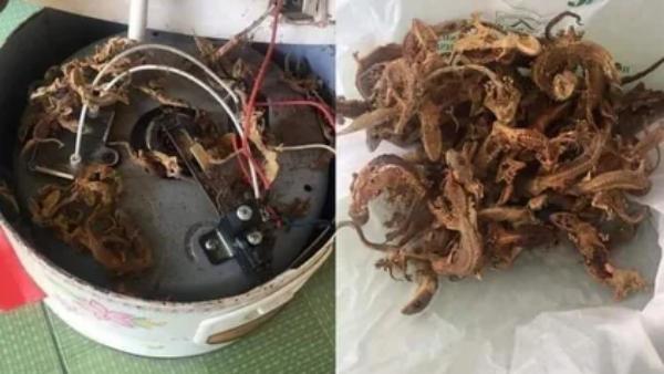  உண்மை என்ன