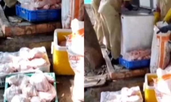 விசாரணை 