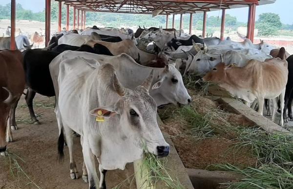 அனைத்து பிரச்சனைகளுக்கும் தீர்வு