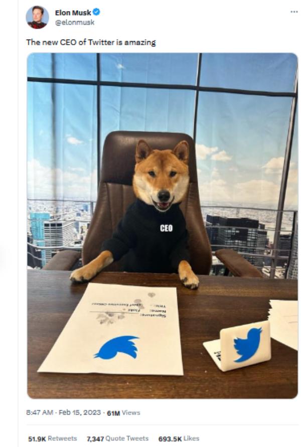  புதிய சி.இ.ஓ 