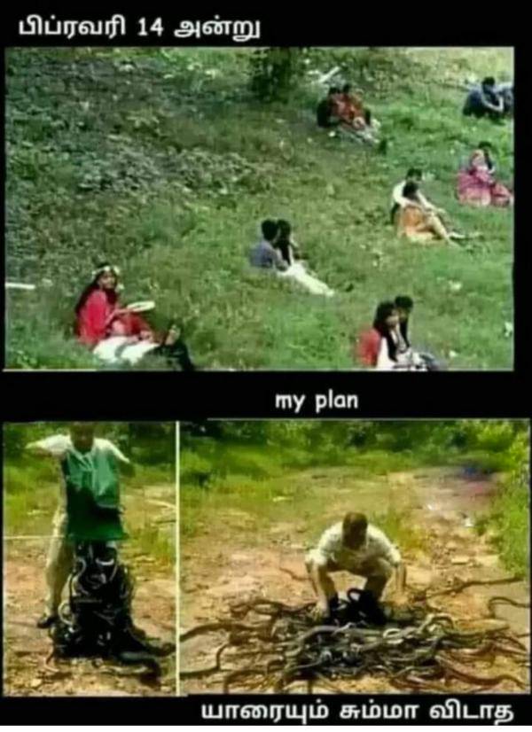 Funny memes collection on valentines day and singles