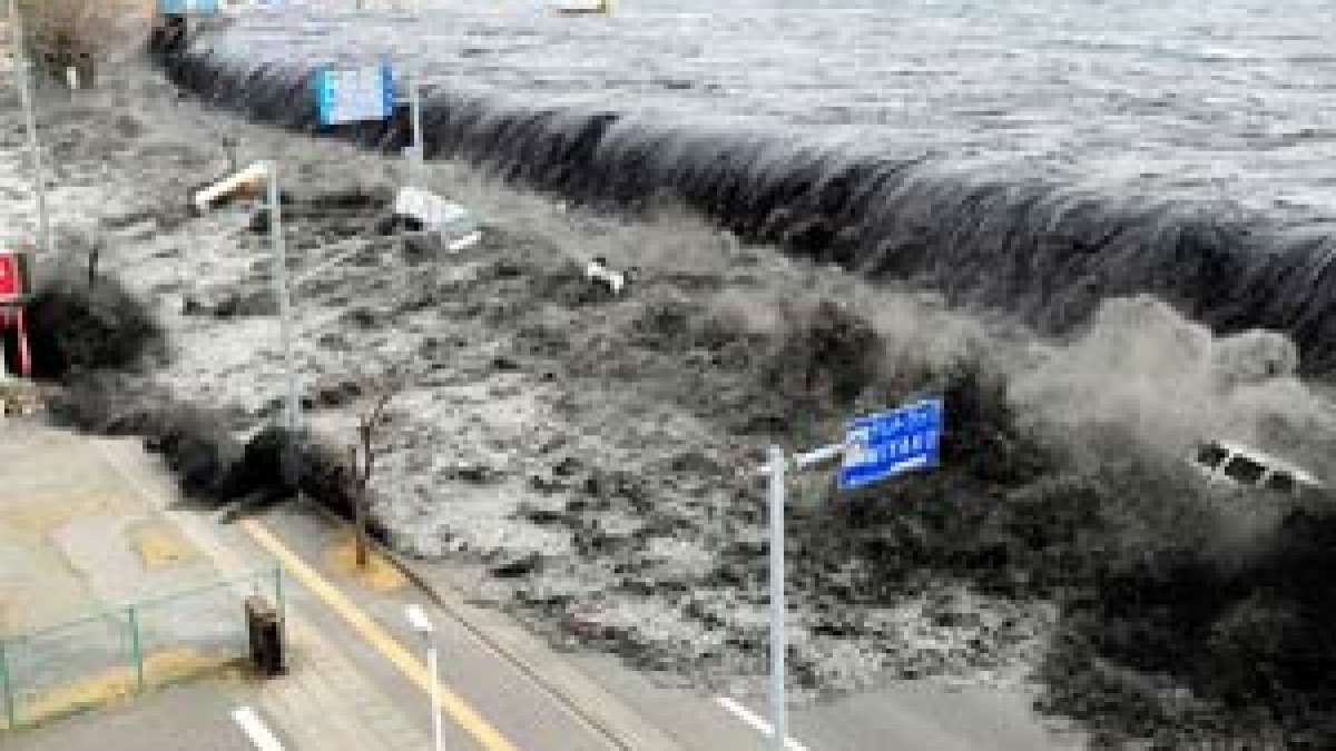 சுனாமி சுனாமி