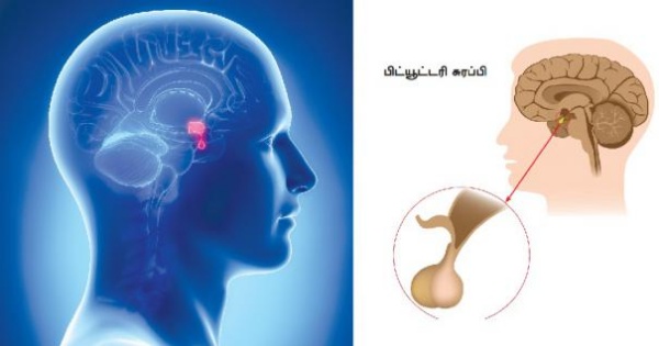 நோய்க்கான முக்கிய காரணங்கள்