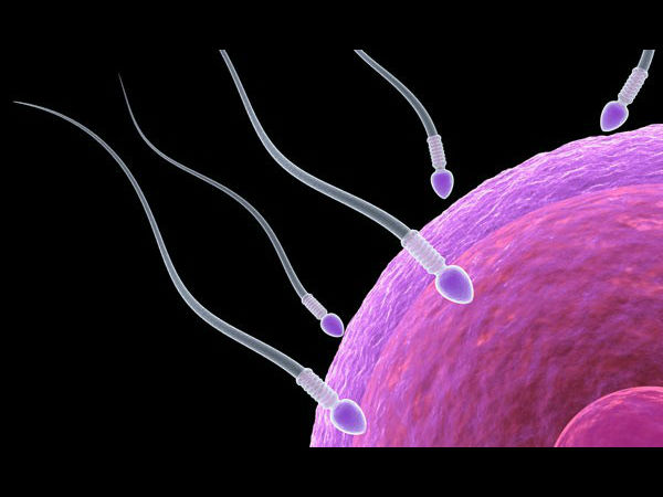 கருவுறாமை விகிதம்