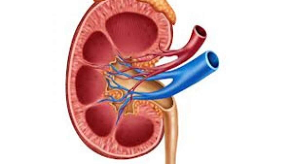  சிட்ரிக் அமிலம் 