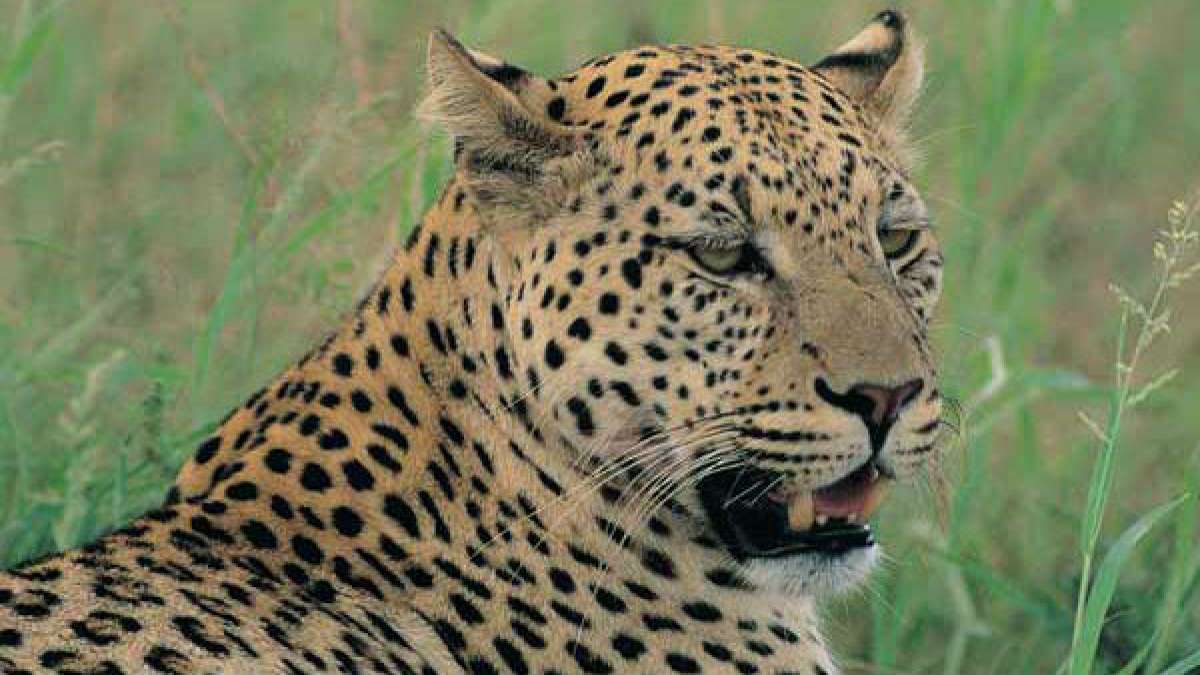  குவியும் பாராட்டு 