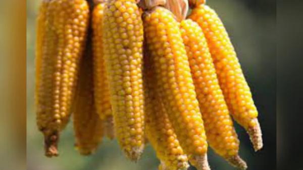  இறக்குமதி 