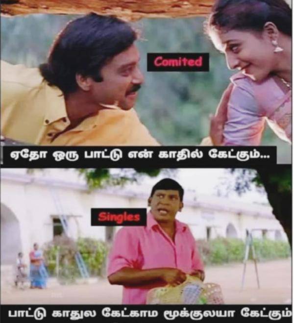 Funny memes collection on valentines day and singles