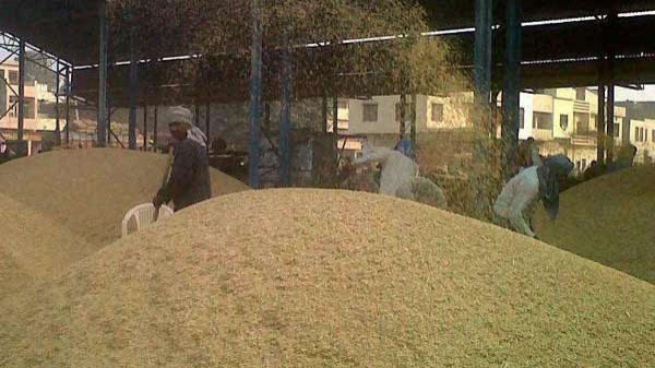 நெல் கொள்முதல்