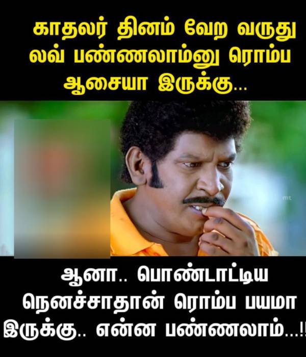 Funny memes collection on valentines day 2023