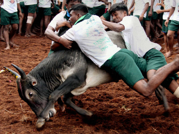 ஒப்பந்தப் புள்ளி 