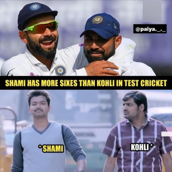 டெய்லண்டர்கள் டெய்லண்டர்கள்