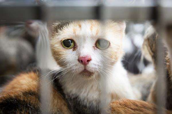  மருத்துவர்கள் சொல்வதென்ன? 