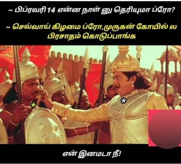 Funny memes collection on valentines day and singles