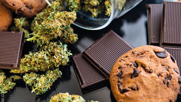 கஞ்சா வேட்டை 