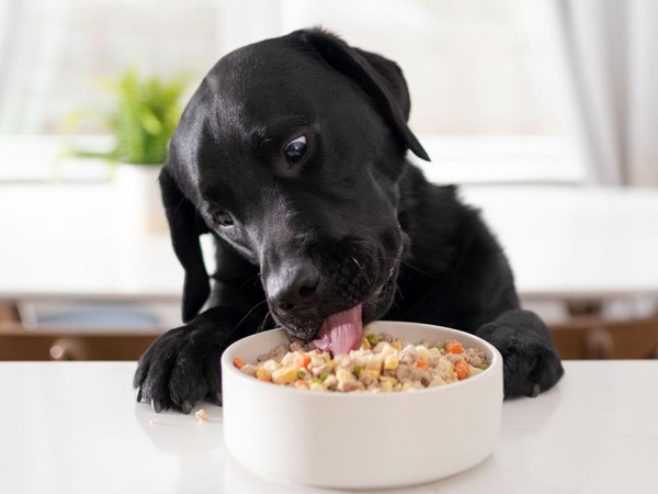 பிராண்டட் போவ்ட் (Branded Food)