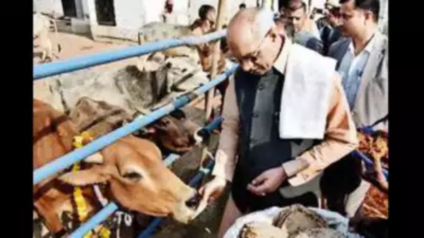 பசு காதல் தினம் பசு காதல் தினம்