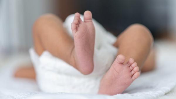 கொல்லப்பட்ட பெண் சிசுக்கள் 