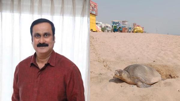 136 ஆமை முட்டைகள் 