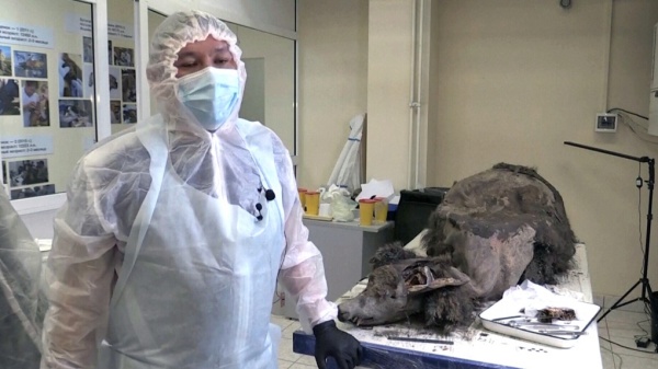 ஏன் முக்கியம்