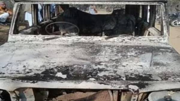 பசுக்காவலர்கள் பசுக்காவலர்கள்