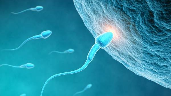 ஆஸ்திரேலியா