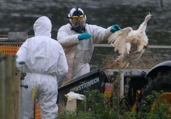 எந்தளவுக்கு ஆபத்து