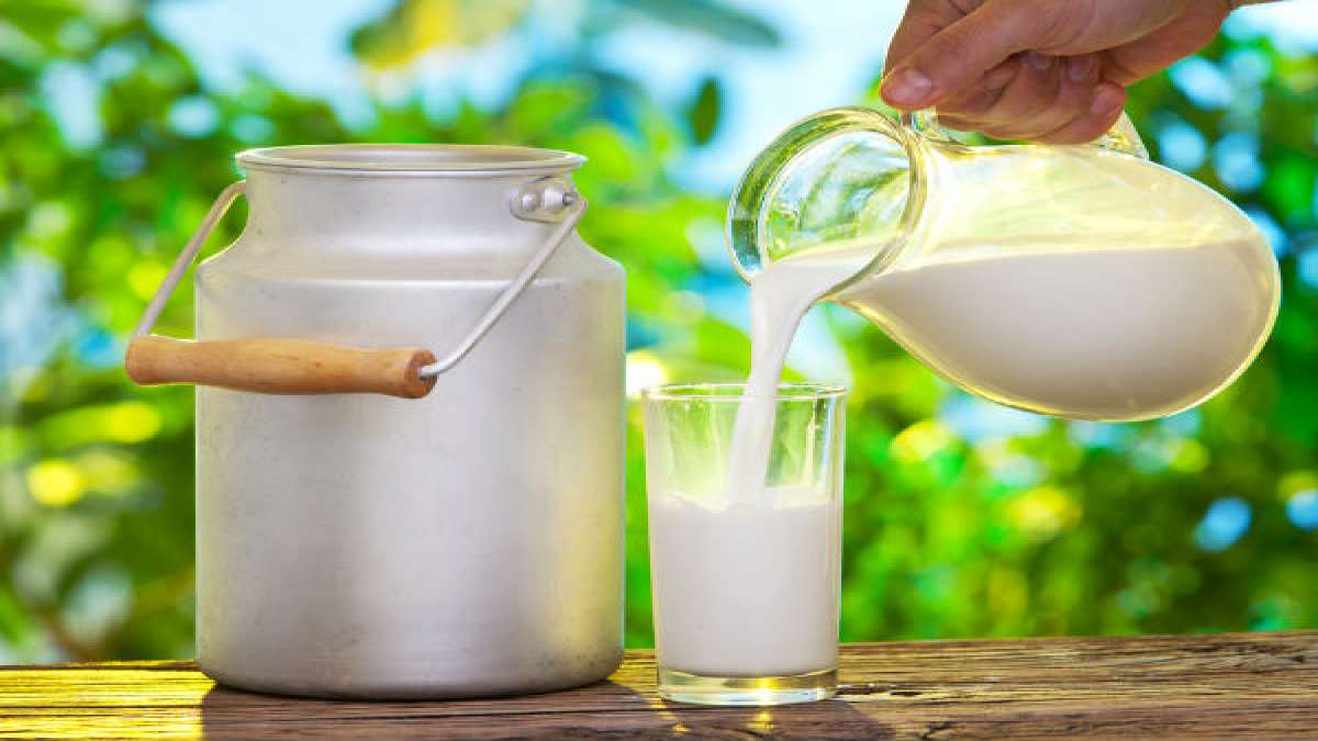 பாலில் இருப்பது லேக்டோஸ் 
