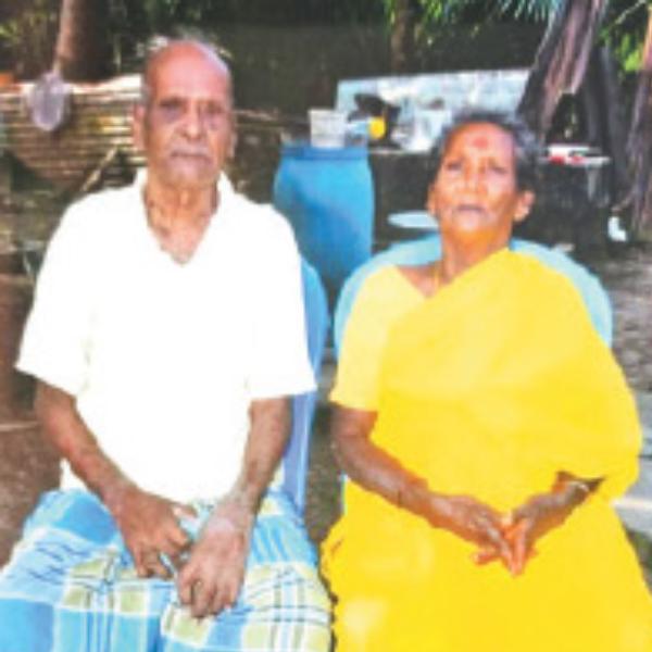  முந்திரி தோப்பு