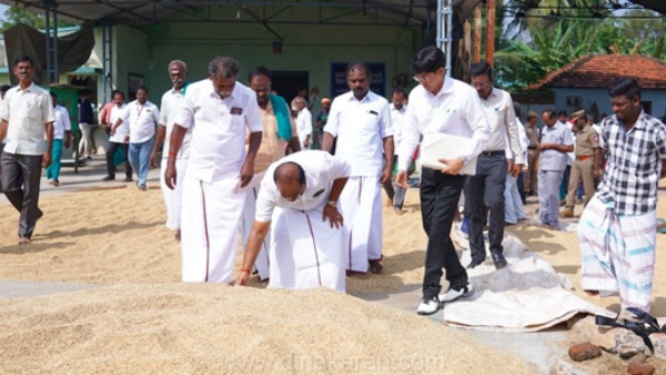 ஆயிரம் மூட்டைகள் கொள்முதல் ஆயிரம் மூட்டைகள் கொள்முதல்