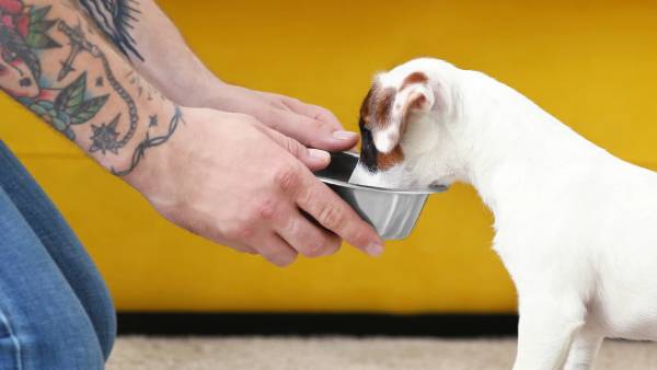 சுத்தமான குடிநீர் ( Clean Drinking Water )