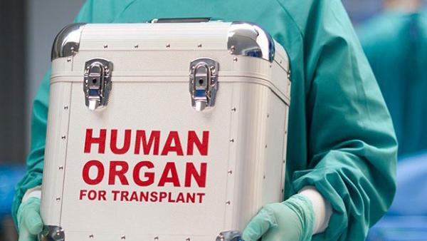 திக் திக் பயணம் 