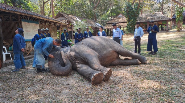சிறப்புப் பயிற்சி
