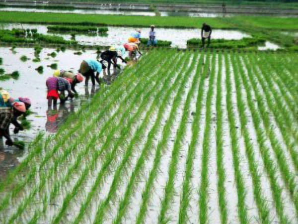 விவசாயிகளுக்கு சலுகை