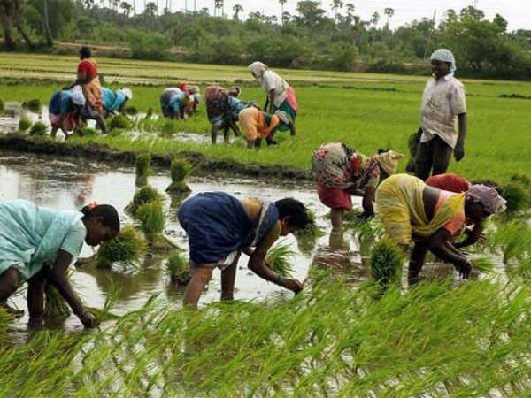 விவசாயிகளுக்கு விவசாயிகளுக்கு