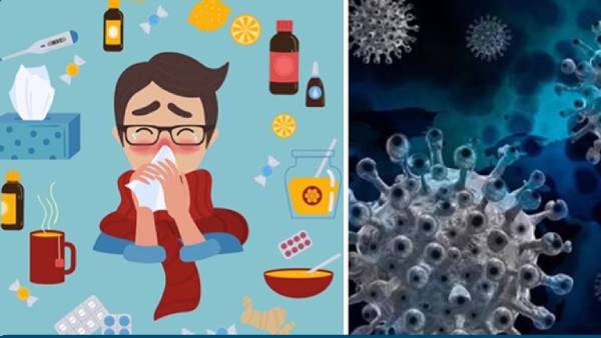 காய்ச்சல், தொண்டை வலி 