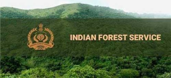 விண்ணப்பம் செய்வது எப்படி?