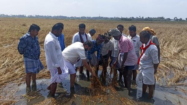 Thamimun Ansari has demanded compensation of Rs.25,000 per acre without discrimination in delta districts 