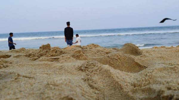 கடற்கரை பகுதிகளை பாதுகாக்க.. 