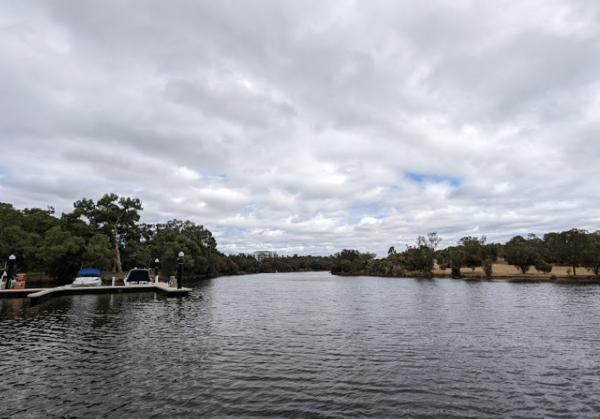 சிறுமியை கடித்து குதறிய சுறா 