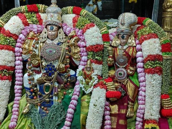 Thaipusam Therotam Madurai Meenakshi ammam temple Theppathruvizha 