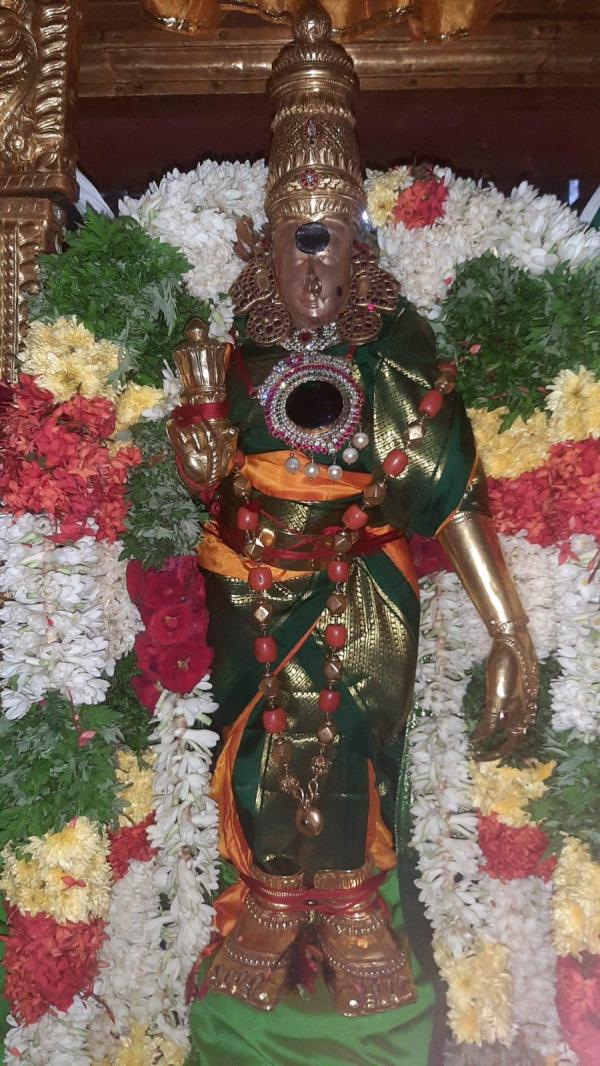Thaipusam Therotam Madurai Meenakshi ammam temple Theppathruvizha 