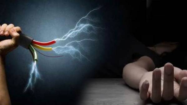 ஃப்ரீஸர் பாக்ஸ் ஃப்ரீஸர் பாக்ஸ்