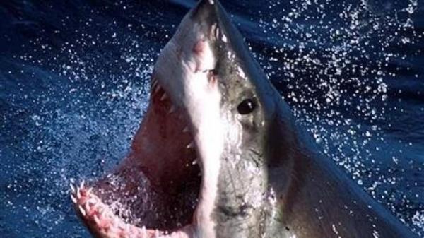 சம்பவ இடத்திலேய பலி 